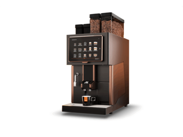 sagitta bronze